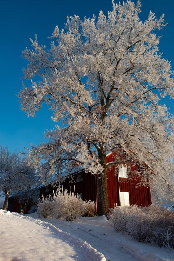 Prostgarden Bed and Breakfast Sunne Exterior foto